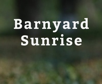 Barnyard Sunrise Ranch - Logo