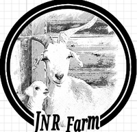 JNR Virginia Kiko's  - Logo
