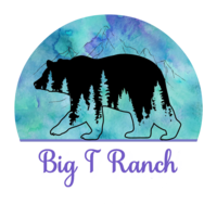 Big T Ranch - Logo