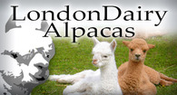 LondonDairy Alpacas & Alpaca Threads Fiber Studio - Logo