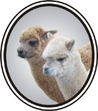 Lippencott Alpacas, LLC - Logo