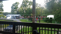 Saving Grace Farm - Logo