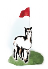 Varners Alpaca Links - Logo