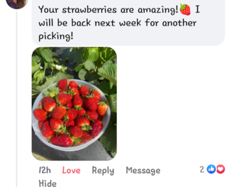 Happy strawberry customer post