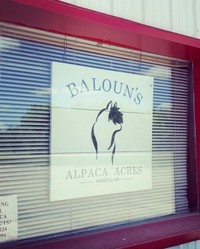 Baloun's Alpaca Acres - Logo
