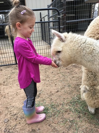 We LOVE young ranch guests!