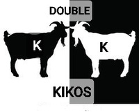 Double K KIKOS - Logo