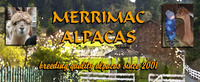 Merrimac Alpacas - Logo
