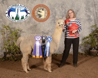 Sheer Heaven 2 1st places, and then Color Champion for silver Grey at AWE