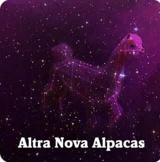 Altra Nova Alpacas - Logo
