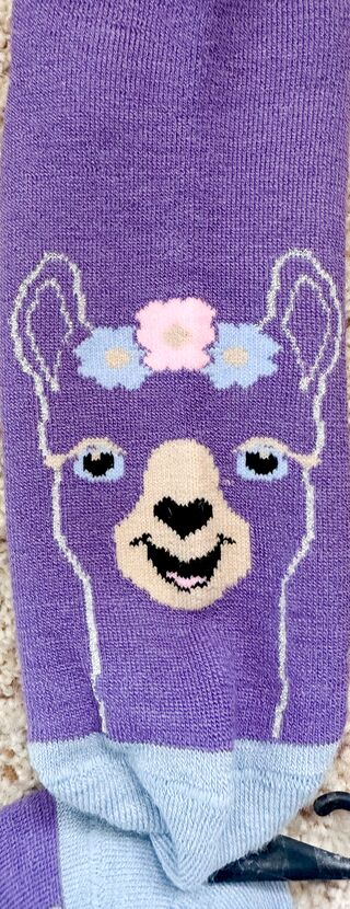 Alpaca Face Ankle Sock