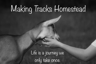 Making Tracks Homestead - Logo
