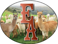 Evans Alpacas - Logo
