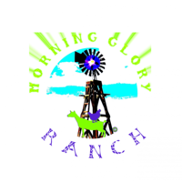 Morning Glory Ranch - Logo