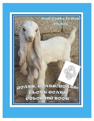 Goats! I love goats Coloring book -94 pg