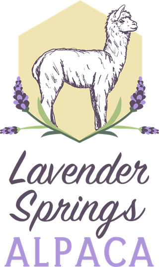 Lavender Springs Alpaca - Logo