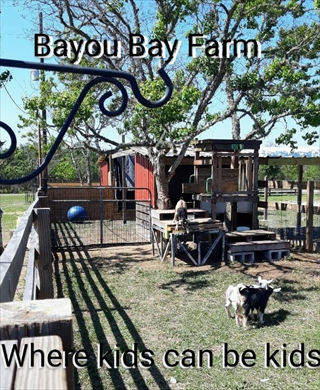 Bayou Bay farm - Logo