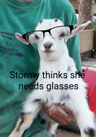 Stormy convinced Mark to try on this glasses
