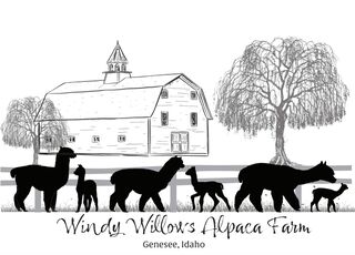 Windy Willows Alpaca Farm - Logo