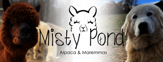 Misty Pond Alpaca & Maremmas - Logo