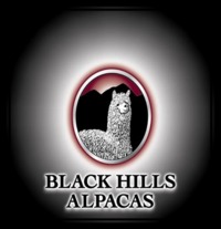 BLACK HILL'S ALPACAS - Logo