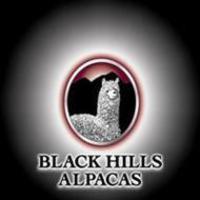 Black Hills Alpacas - Logo