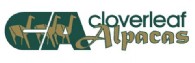 Cloverleaf Alpacas - Logo
