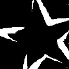 Midnight Star Alpacas - Logo