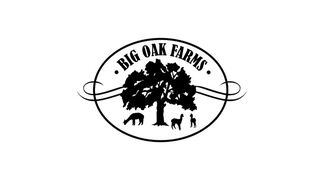 Big Oak Farms, Inc. - Logo