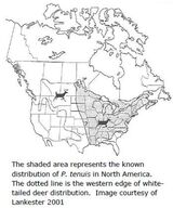 White Tail Deer Distribution Map