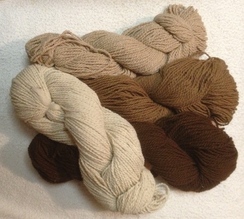 Worsted #4