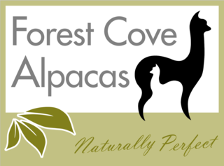 Forest Cove Alpacas - Logo