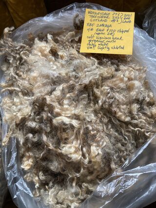 Raw fleece washes up bright white