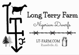 LT-Farm Nigerian Dwarfs  - Logo