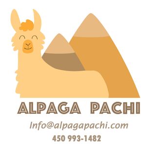 Alpaga Pachi - Logo