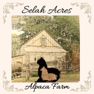 Selah Acres Alpaca Farm - Logo