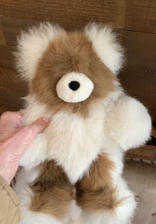 Small Stuffed Bear