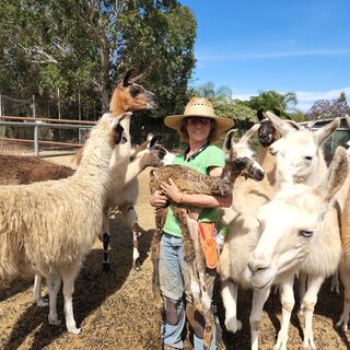 Michelle is the moma llama for newborn Huxley 