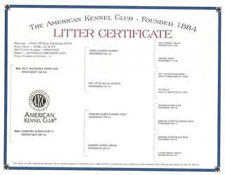 Litter Certificate