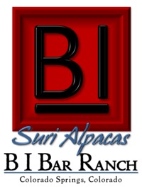 B I Bar Ranch - Logo