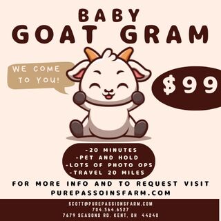 Goat Gram