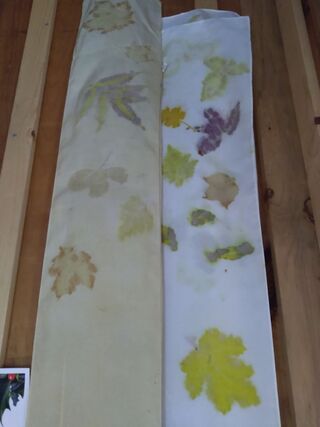 Silk ecoprinted scarves