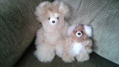 Super soft alpaca  Mini Teddy Bears 