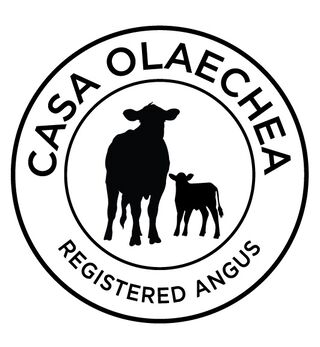 Casa Olaechea LLC - Logo
