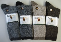 Photo of PACA Socks