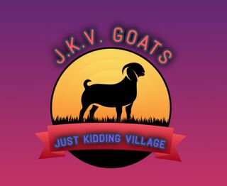 Just Kidding Village - Logo