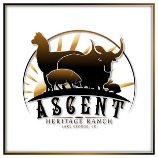 Ascent Heritage Ranch - Logo