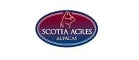 Scotia Acres Alpacas - Logo