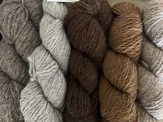 Yarn available for purchase 