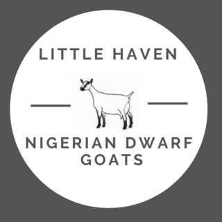 Little Haven  - Logo